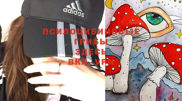 ПСИЛОЦИБИНОВЫЕ ГРИБЫ Красноперекопск