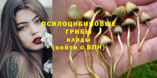 ПСИЛОЦИБИНОВЫЕ ГРИБЫ Красноперекопск