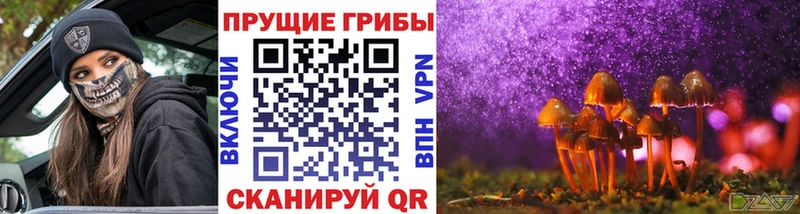 Купить закладки  Чаплыгин  Галлюциногенные грибы мухоморы 