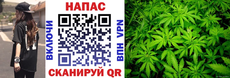 Купить закладки  Чаплыгин  Конопля сатива 
